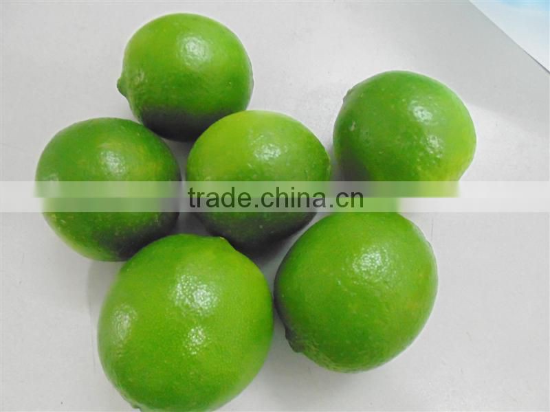 big size Seedless lime