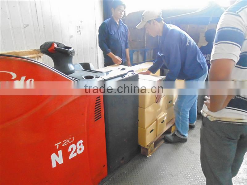 Best Lemon and Fresh lime in Vietnam