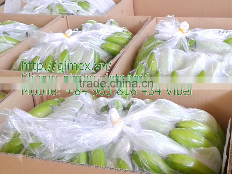viet nam fresh Cavendish Bananas