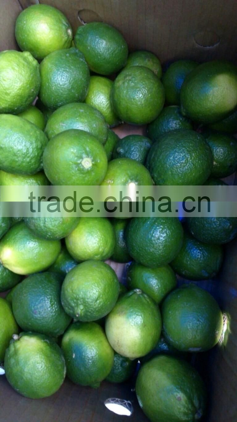 GIMEX VIET NAM FRESH LIME CHEAP