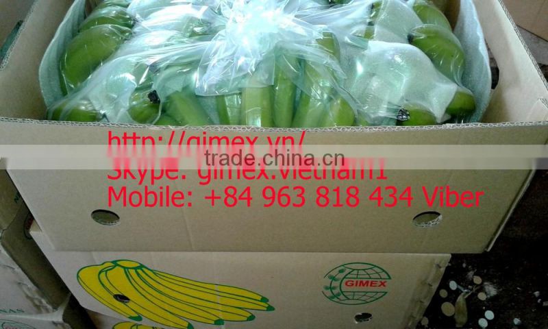 FRESH BANANA / Whatsapp +84 963818434