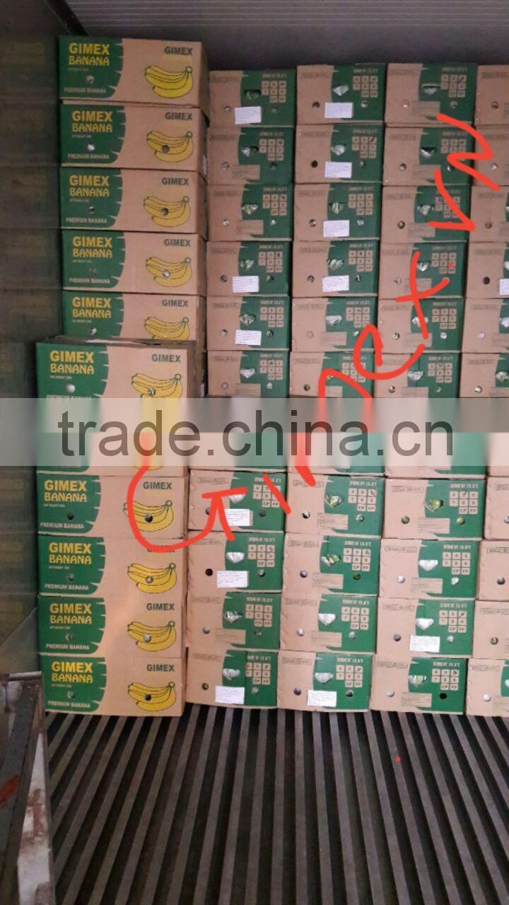 Grade A456 FRESH CAVENDISH BANANA +84963818434 whatsapp