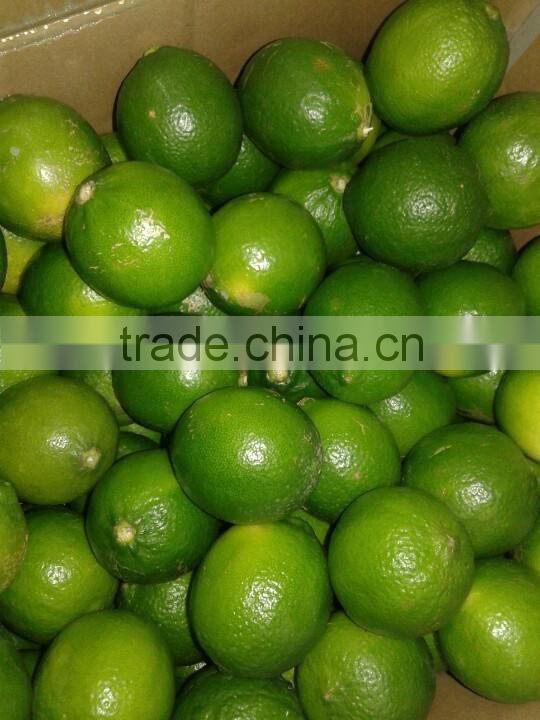 FRESH SEEDLESS LIME IN VIET NAM 2016