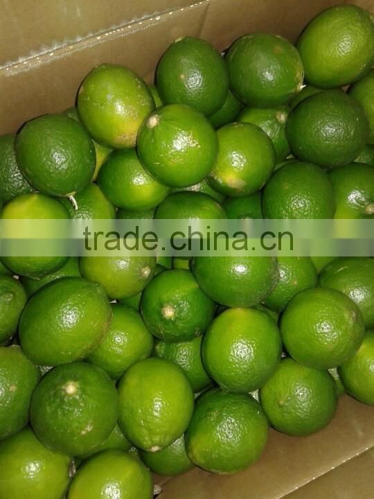 FRESH SEEDLESS LIME IN VIET NAM 2016