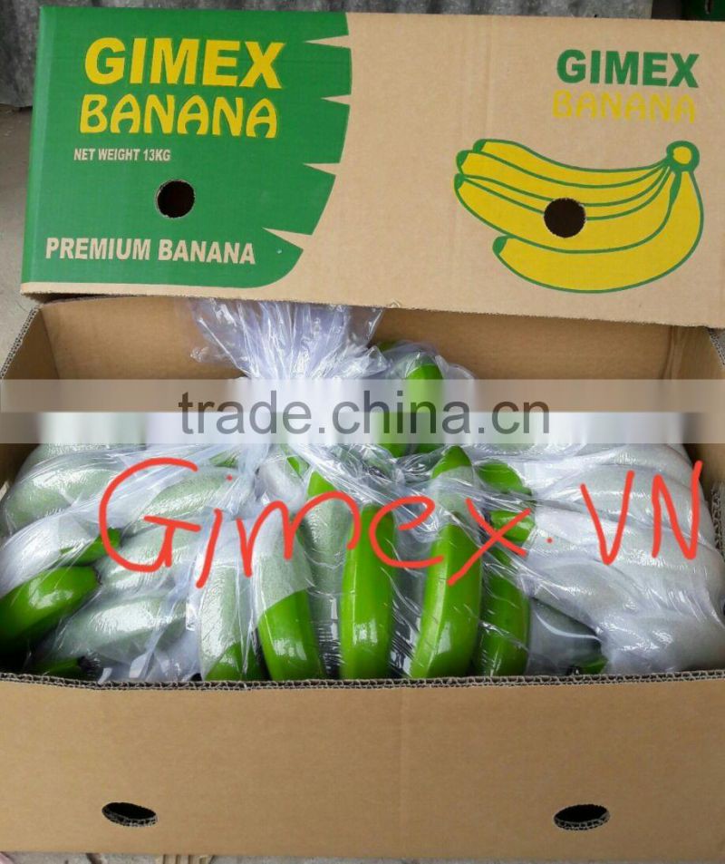 FRESH BANANA / Whatsapp +84 963818434