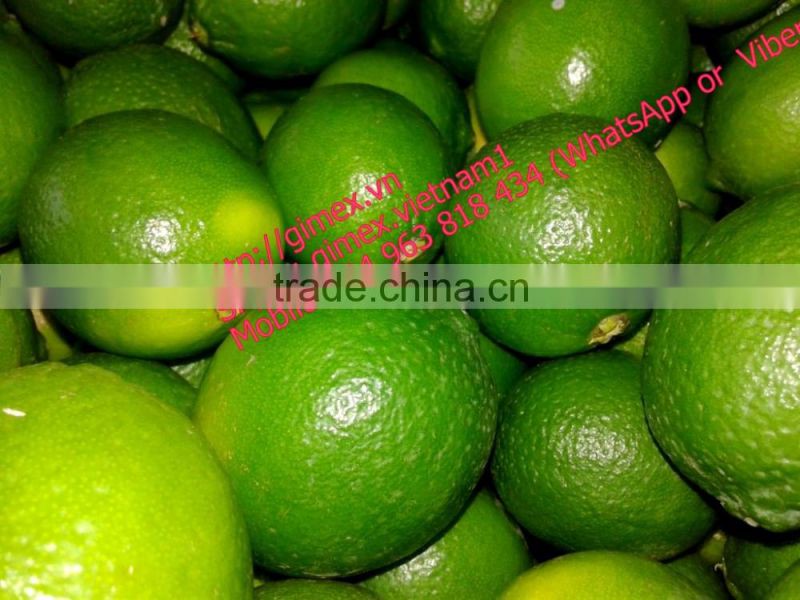 gimex viet nam fresh seedless lime 2016