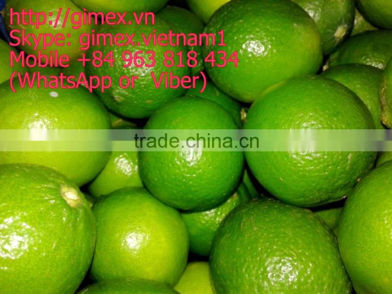 gimex viet nam fresh seedless lime 2016