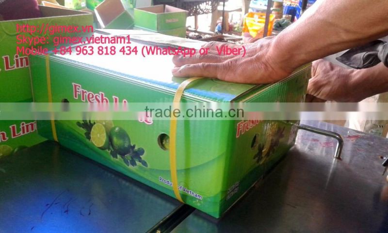 gimex viet nam fresh seedless lime 2016