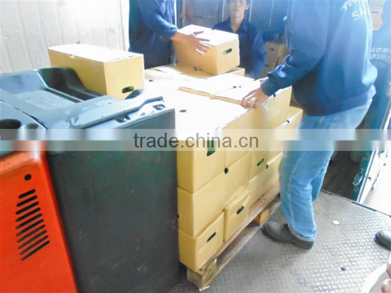 VIET NAM FRESH LEMON