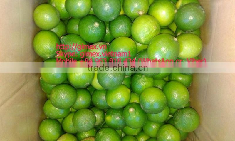 gimex viet nam fresh seedless lime 2016