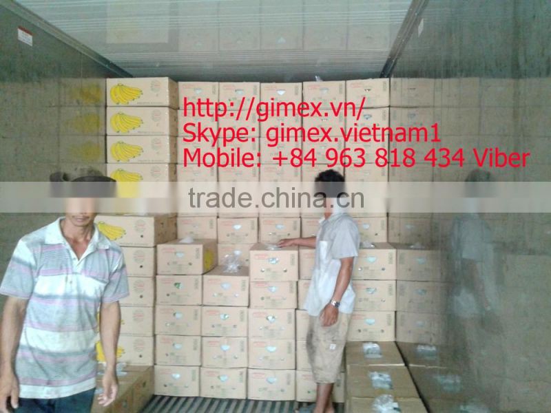 FRESH BANANA / Whatsapp +84 963818434