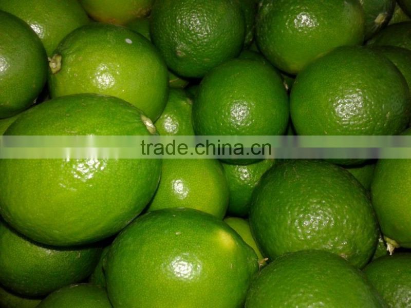 big size Seedless lime