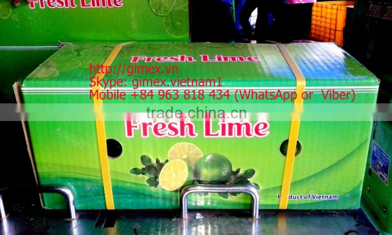 gimex viet nam fresh seedless lime 2016