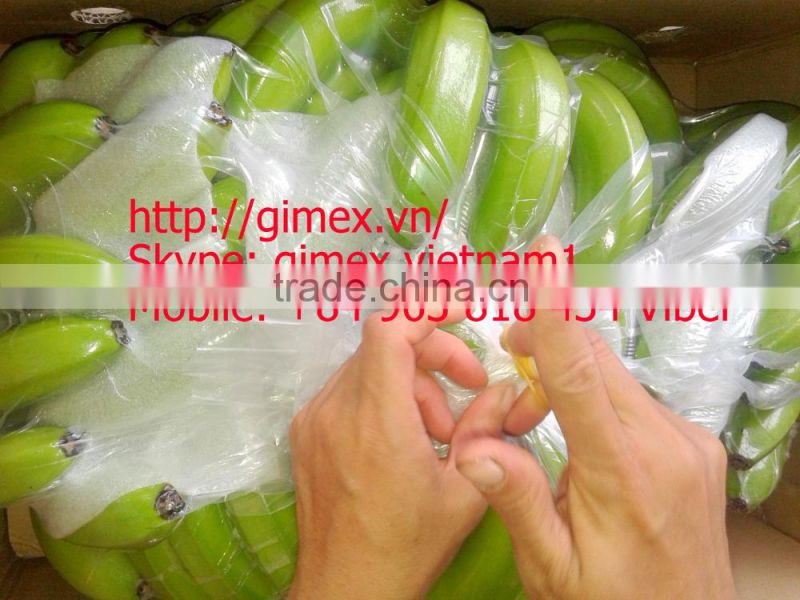 Grade A456 FRESH CAVENDISH BANANA +84963818434 whatsapp