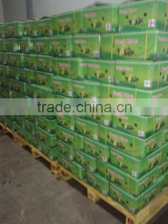 FRESH SEEDLESS LIME IN VIET NAM 2016
