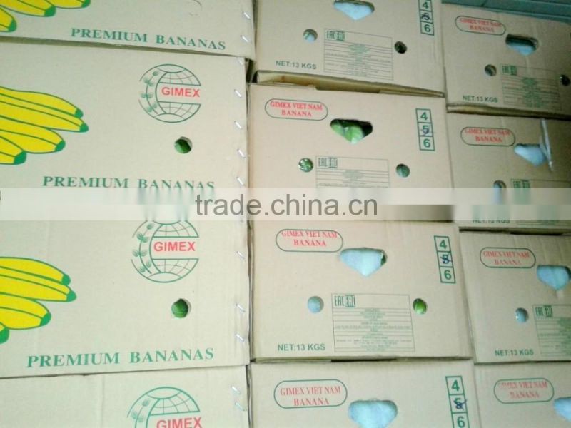 FRESH CAVENDISH BANANA EXPORTING GIMEX VIET NAM