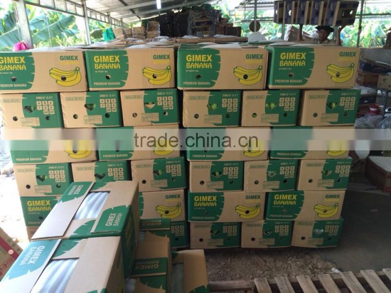 fresh green Cavendish Bananas