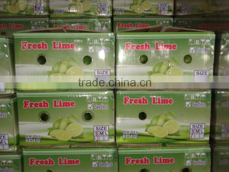 big size Seedless lime