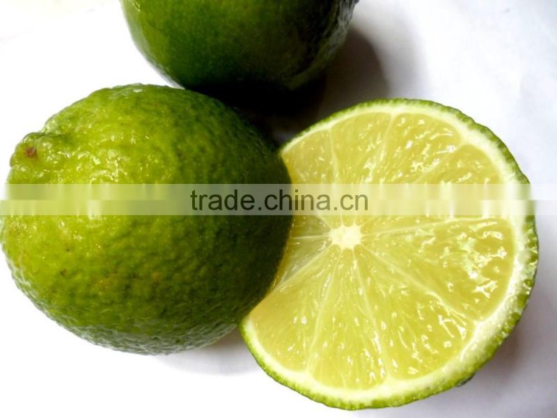 GIMEX VIET NAM FRESH LIME CHEAP