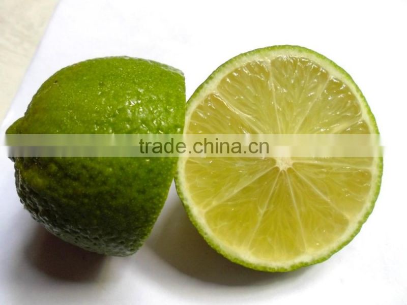 GIMEX VIET NAM FRESH LIME CHEAP