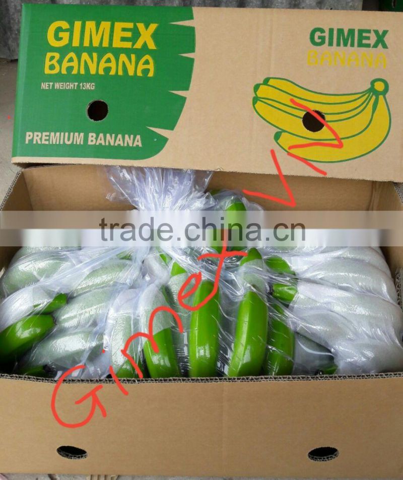 Grade A456 FRESH CAVENDISH BANANA +84963818434 whatsapp