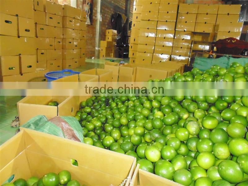 seedless lime & fresh lemon