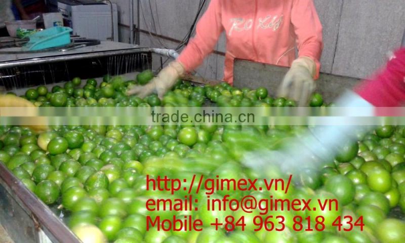gimex viet nam fresh seedless lime 2016