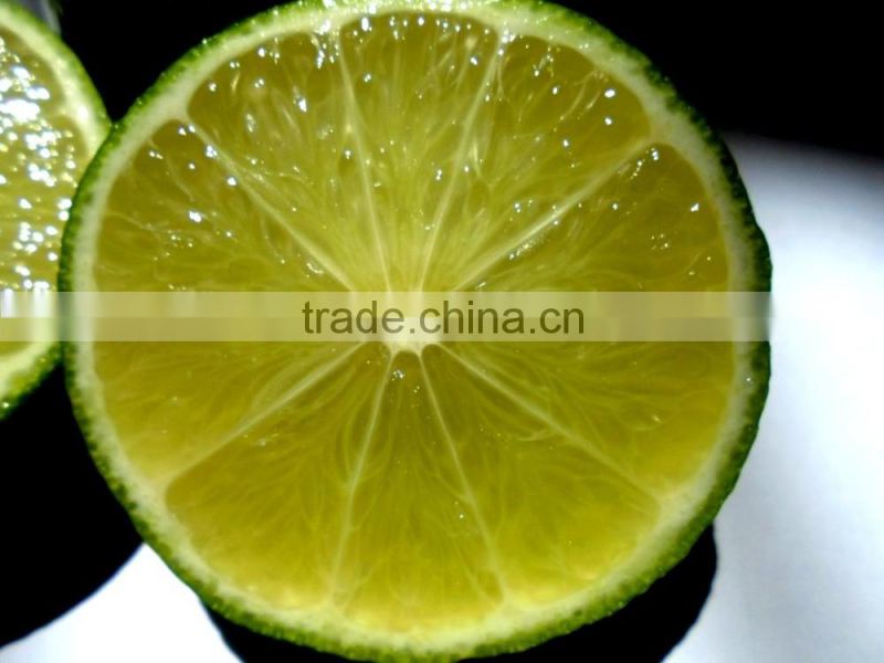 fresh Calamansi / whatsapp +84963818434