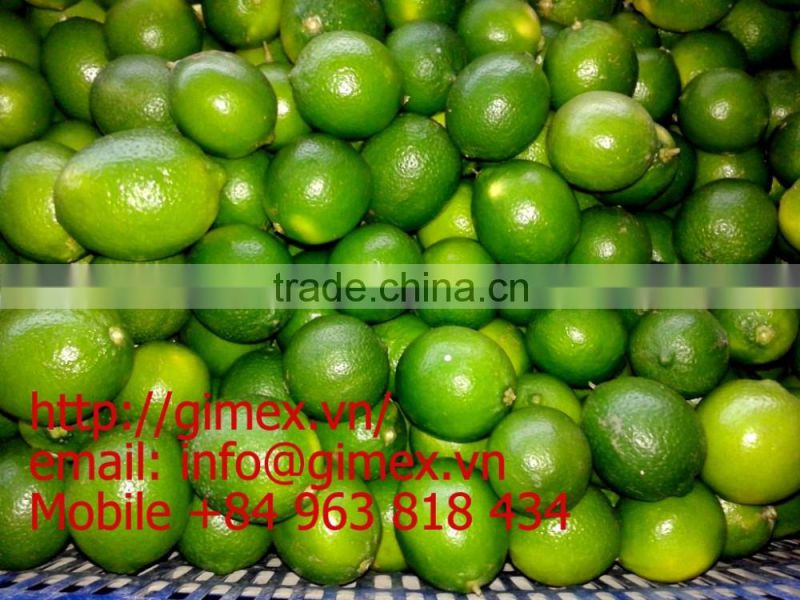 gimex viet nam fresh seedless lime 2016