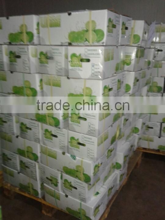 FRESH SEEDLESS LIME IN VIET NAM 2016