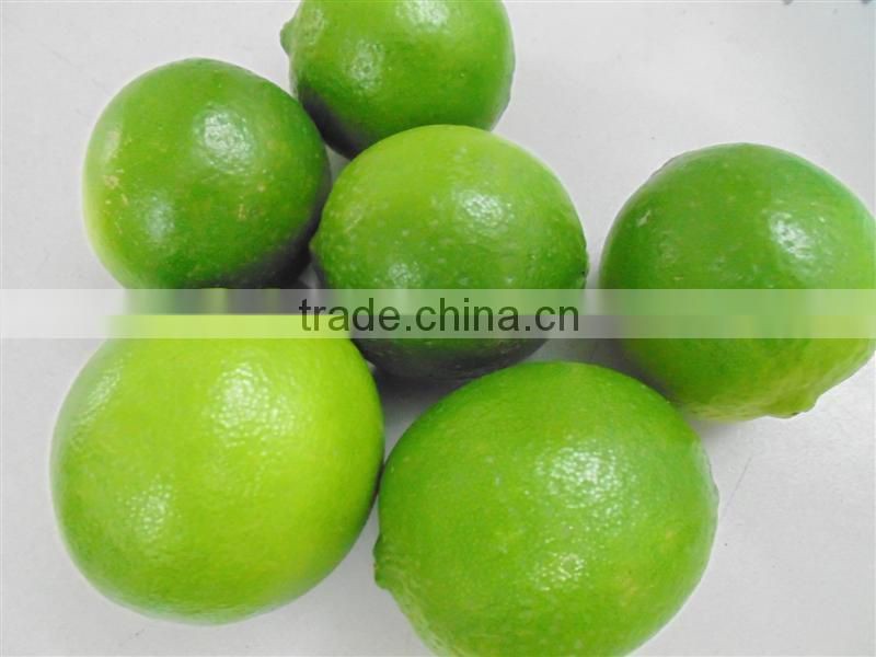 High Quality Fresh Lime 2016,