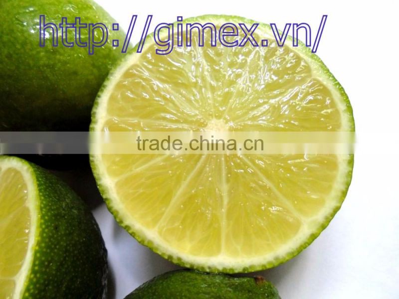 gimex viet nam fresh seedless lime 2016