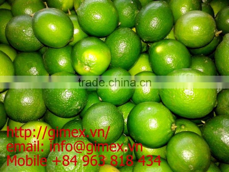 gimex viet nam fresh seedless lime 2016