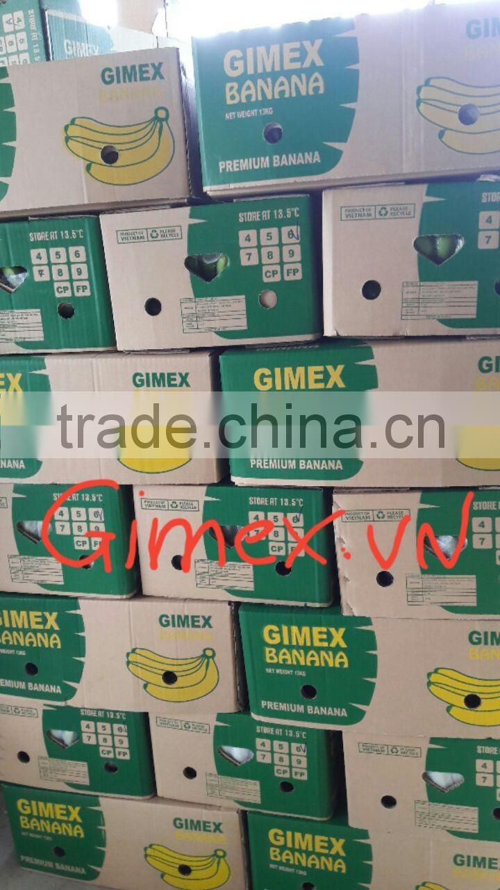 Grade A456 FRESH CAVENDISH BANANA +84963818434 whatsapp