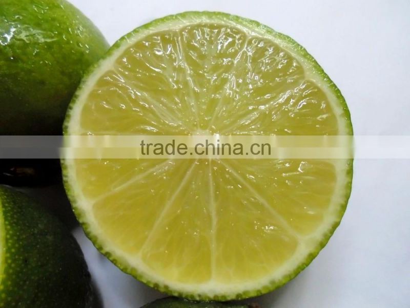 fresh Calamansi / whatsapp +84963818434