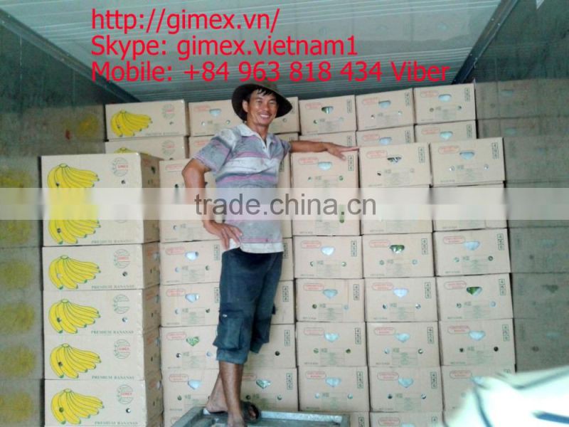 Grade A456 FRESH CAVENDISH BANANA +84963818434 whatsapp