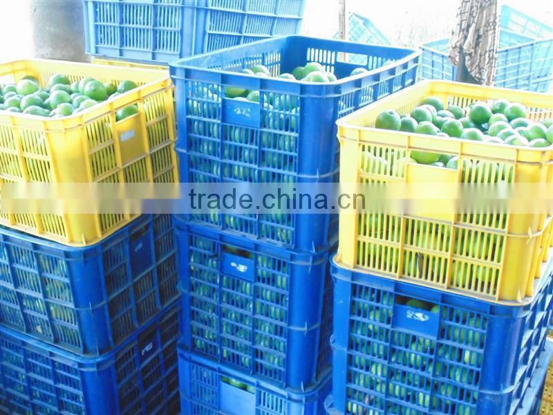 seedless lime & fresh lemon