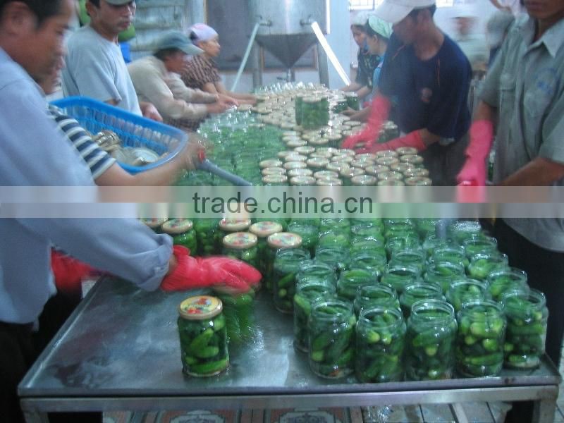 HIGH QUALITY CANNED PICKLED CUCUMBER _CHEAP PRICE