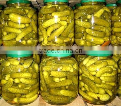 HIGH QUALITY CANNED PICKLED CUCUMBER _CHEAP PRICE