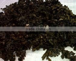 LEAVES/POWDER SARGASSUM SEAWEED BEST QUALITY