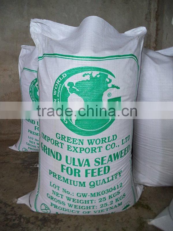 BEST QUALITY SARGASSUM SEAWEED COMPETITIVE PRICE FOR NOW !