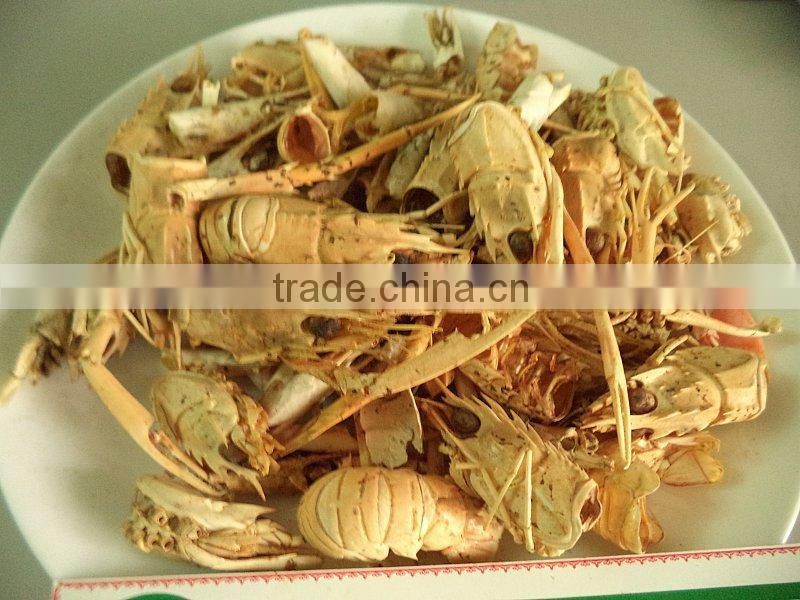 DRIED SHRIMP SHELL POWER FOR SALE NOW !