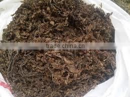 LEAVES/POWDER SARGASSUM SEAWEED BEST QUALITY