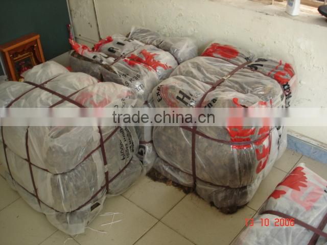 BEST QUALITY SARGASSUM SEAWEED COMPETITIVE PRICE FOR NOW !