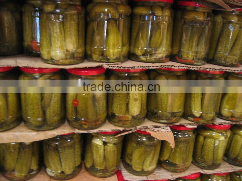 HIGH QUALITY CANNED PICKLED CUCUMBER _CHEAP PRICE