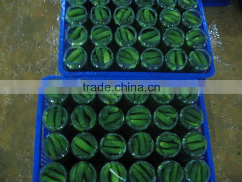 HIGH QUALITY CANNED PICKLED CUCUMBER _CHEAP PRICE