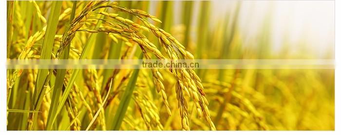 Yang Yang Songi Rice Wine 360ml Korea Traditional Food Nutrition Rice Enzyme Malt Delicious Soju!