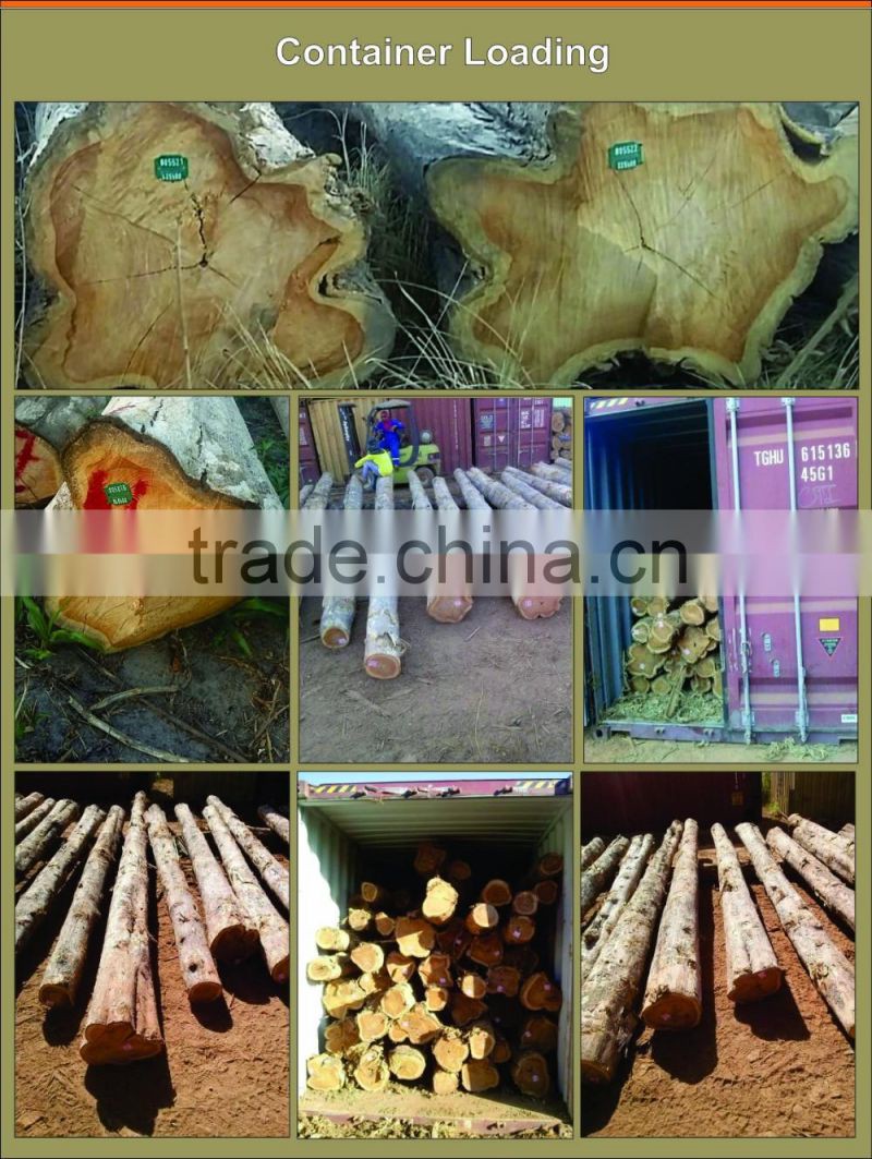 Teak Wood Logs