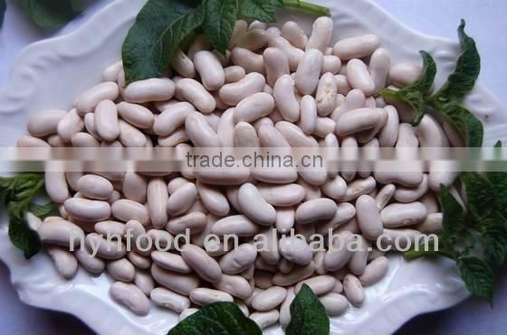 White Kidney Beans