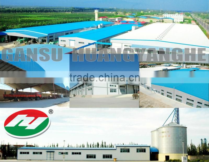 American IQF Sweet Corn Kernels